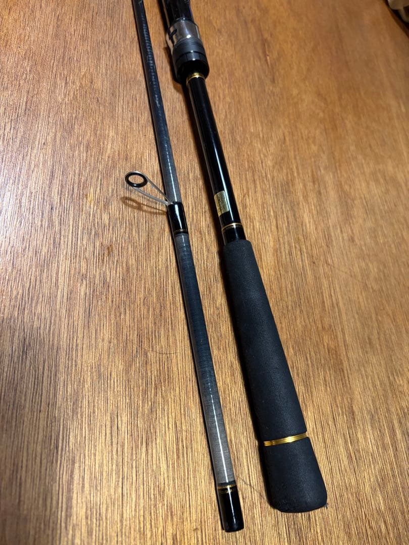 ロッド DAIWA SEABASS HUNTER X 96ML