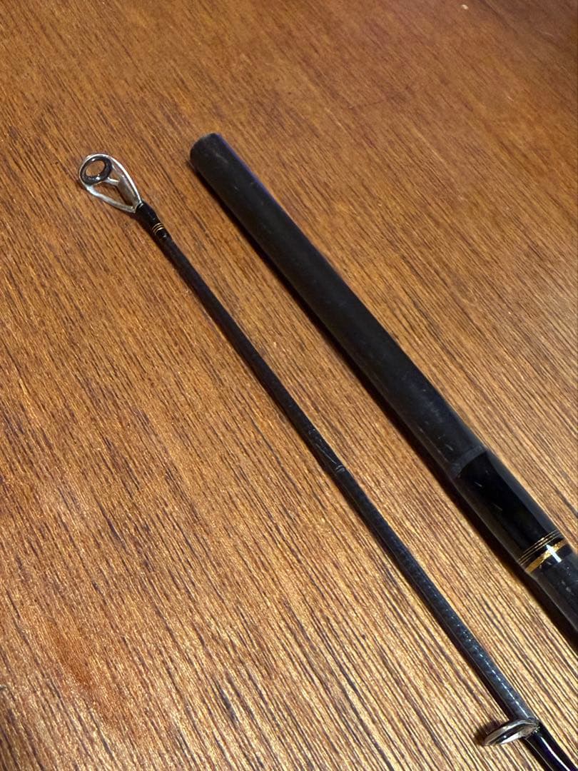ロッド DAIWA SEABASS HUNTER X 96ML