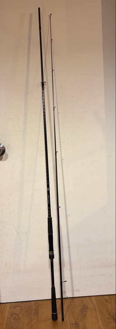 ロッド DAIWA SEABASS HUNTER X 96ML