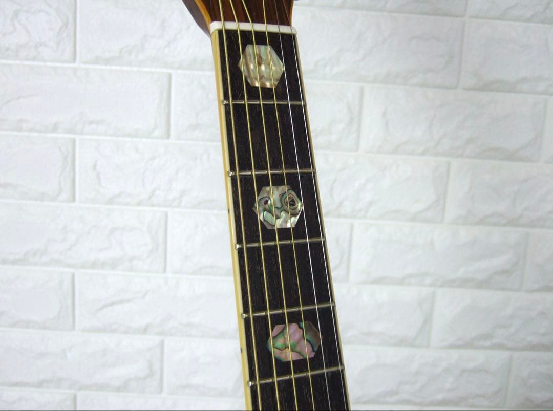 ARIA KW-3 アコースティックギター 日本製 ハードケース付き