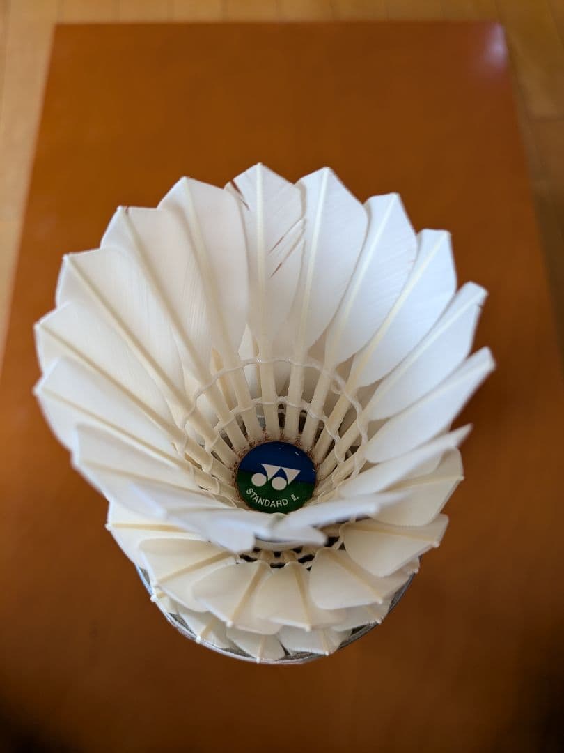 yonex エアロセンサ500　StandardⅡ 組み合わせ