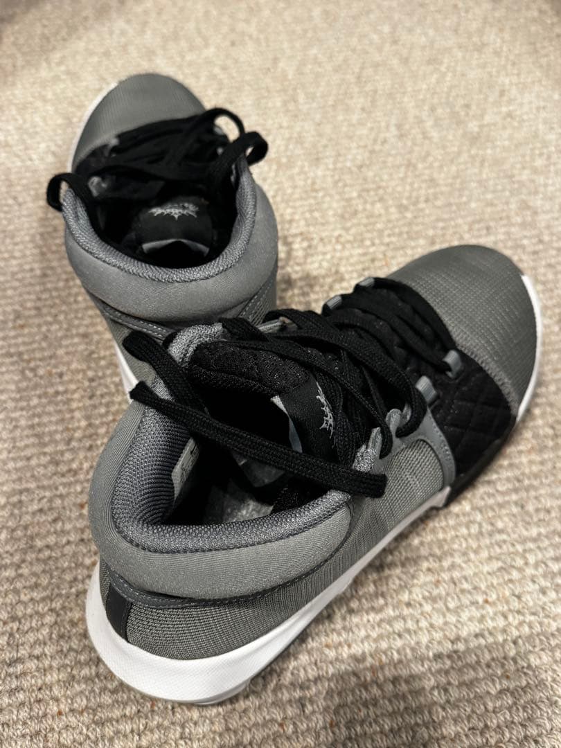 ナイキ レブロン ウィットネス 8 EP LEBRON Witness 8 EP