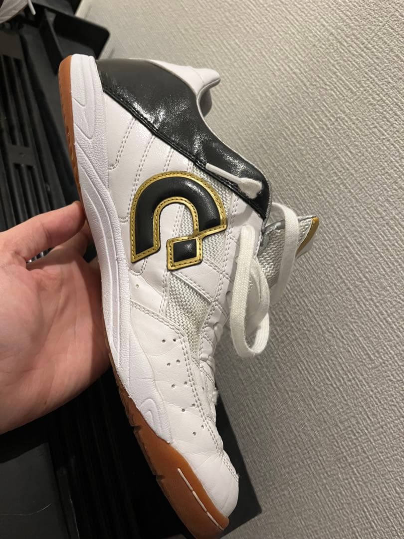Desporte Tessa Light ID PRO3 デスポルチ