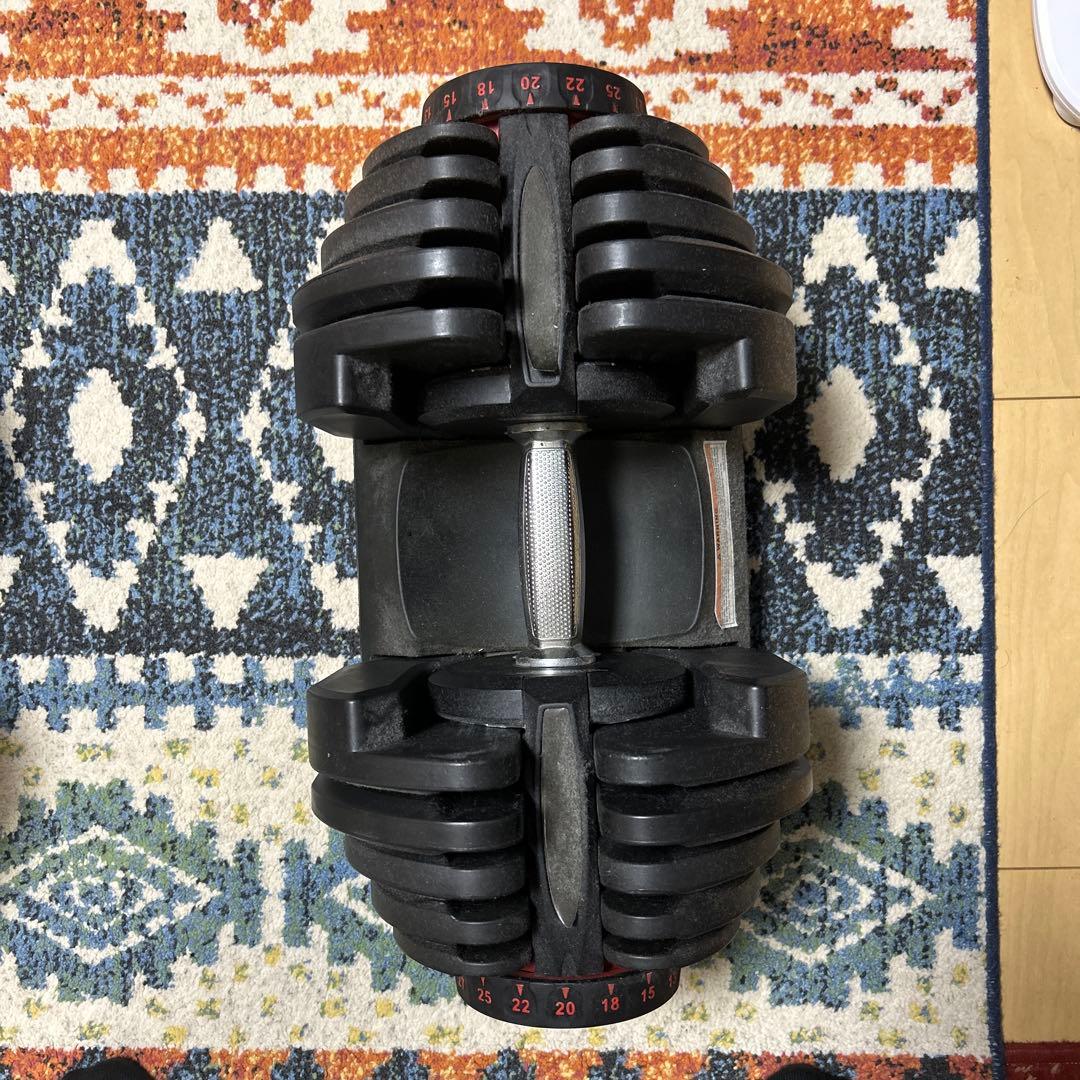 可変式ダンベル40kg