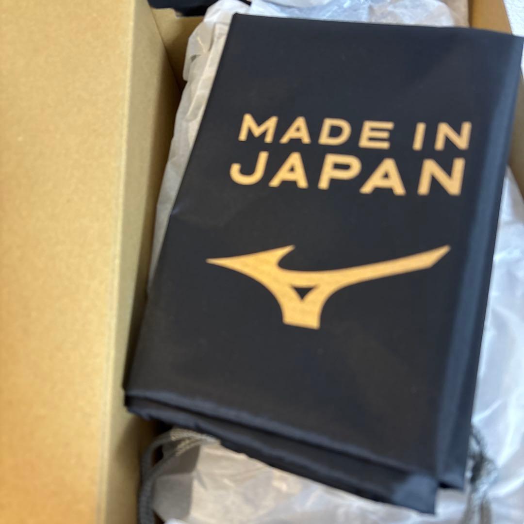 モレリア2JAPAN 白金