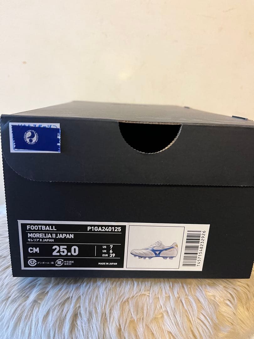Mizuno Morelia Ⅱ JAPAN 25.0cm