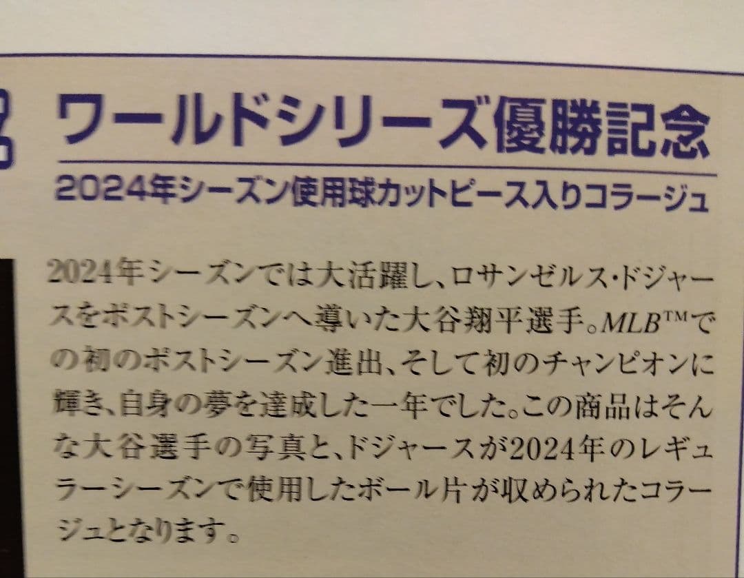 大谷翔平 2024年 ワードシリーズ優勝記念