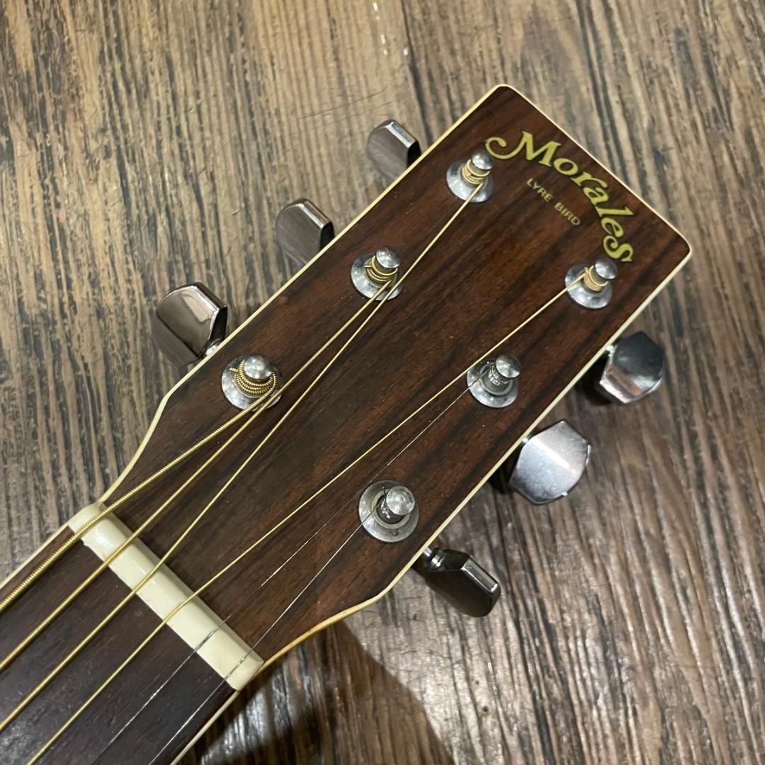 Morales M-18 Lyre Bird アコギ モラレス -x397