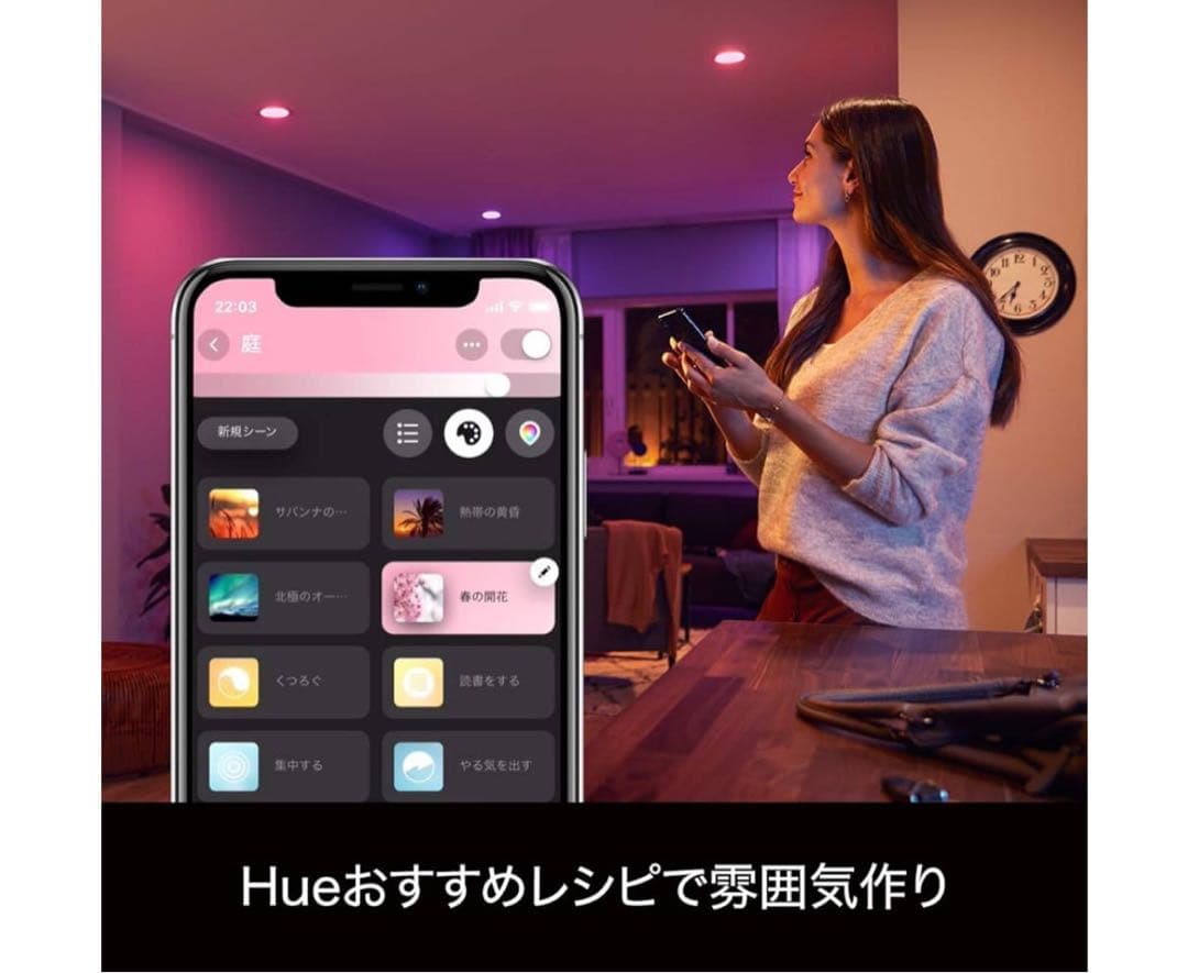 Philips Hue(フィリップスヒュー)スターターセット 動作確認済　外箱無