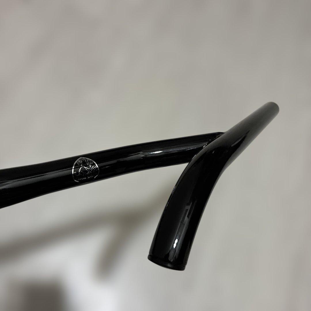 パーツ STEVE POTTS siskiyou bar TWN (black)