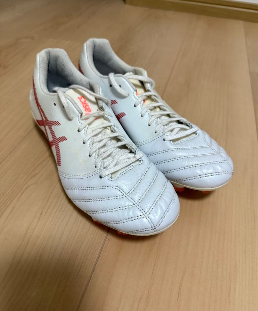 シューズ DS LIGHT x-fly pro