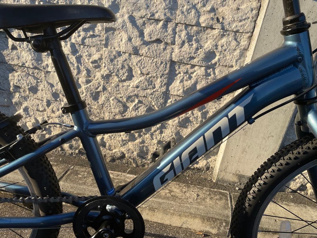 まつぼっくり様2021XTCJR20Liteブルーアッシュ 自転車 20インチ