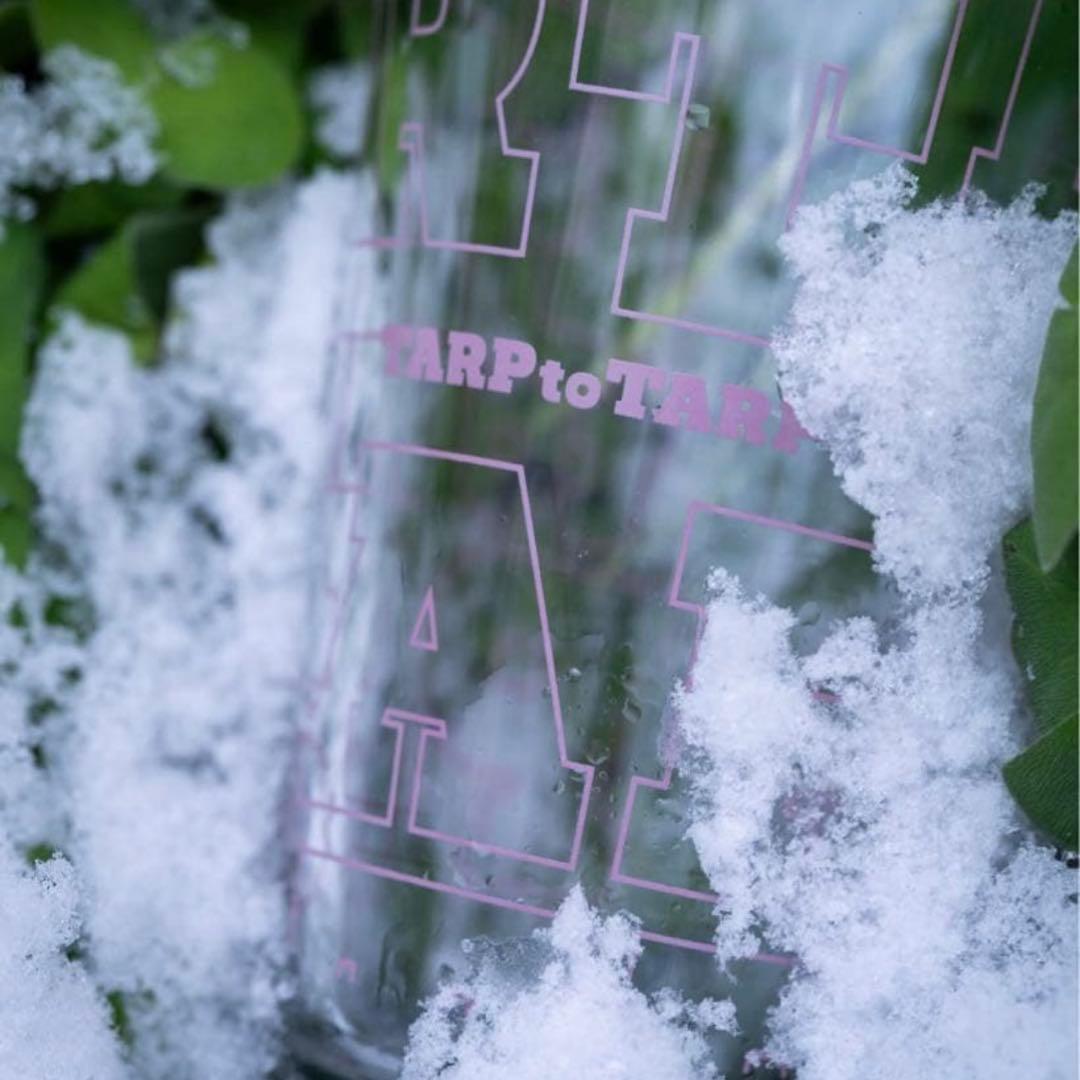 【新品未使用】TARP GLASS/ Sakura Osaka ver.