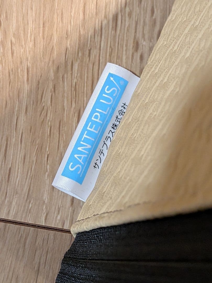 SANTEPLUS 傾斜クッション ベージュ