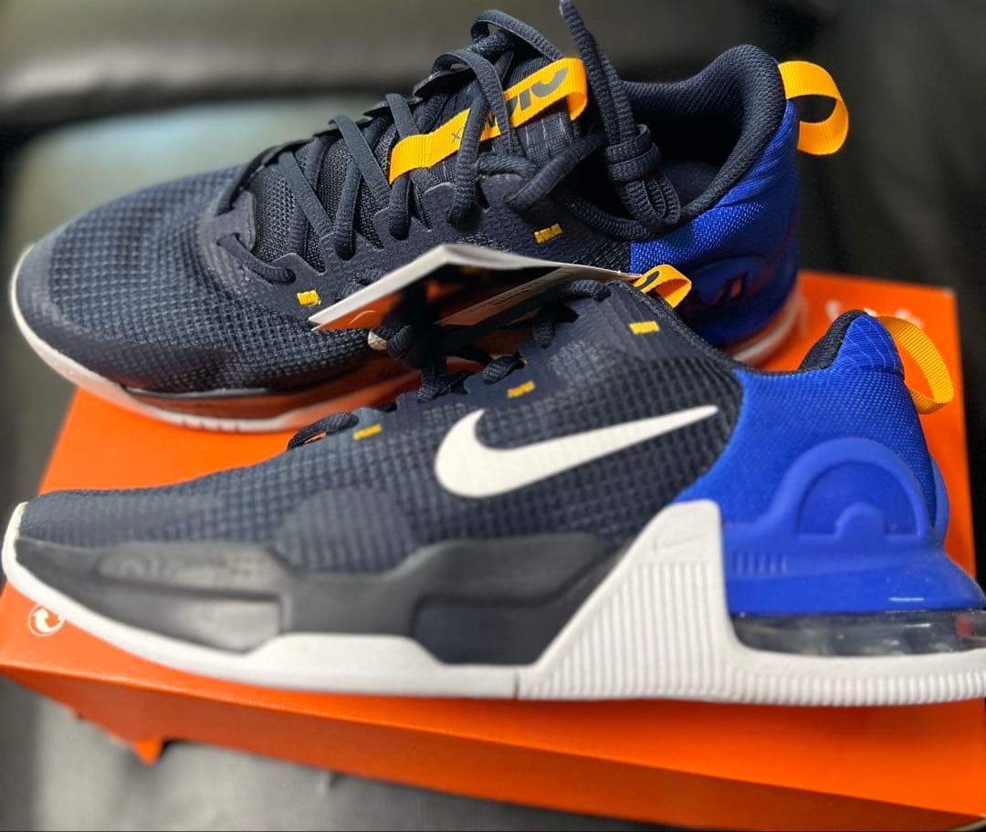 シューズ(男性用) NIKE AIR MAX ALPHA TRAINER 5 Color 401
