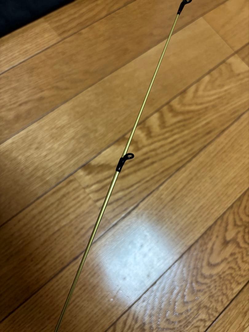 ダイワ　月下美人EX AGS 76UL-S