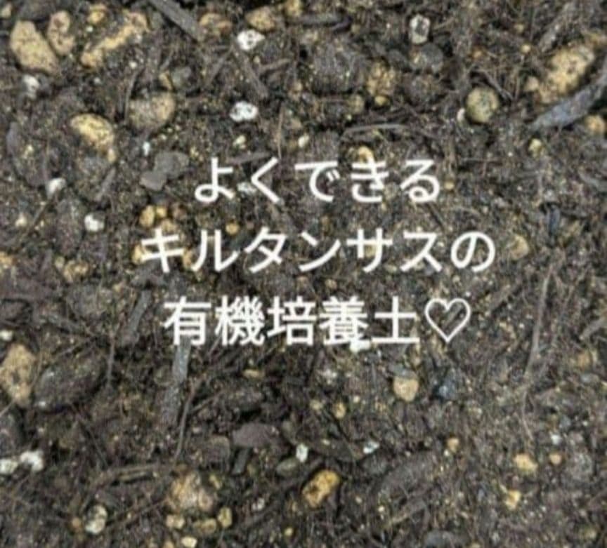 ♡みあり様♡