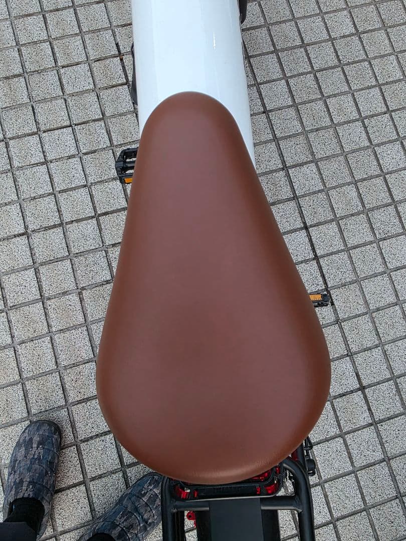 自転車本体 coswheel