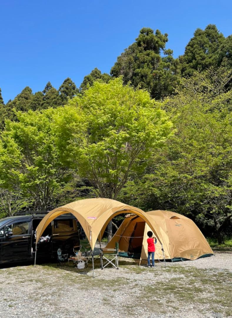 Coleman　300サンシェード　ベージュ