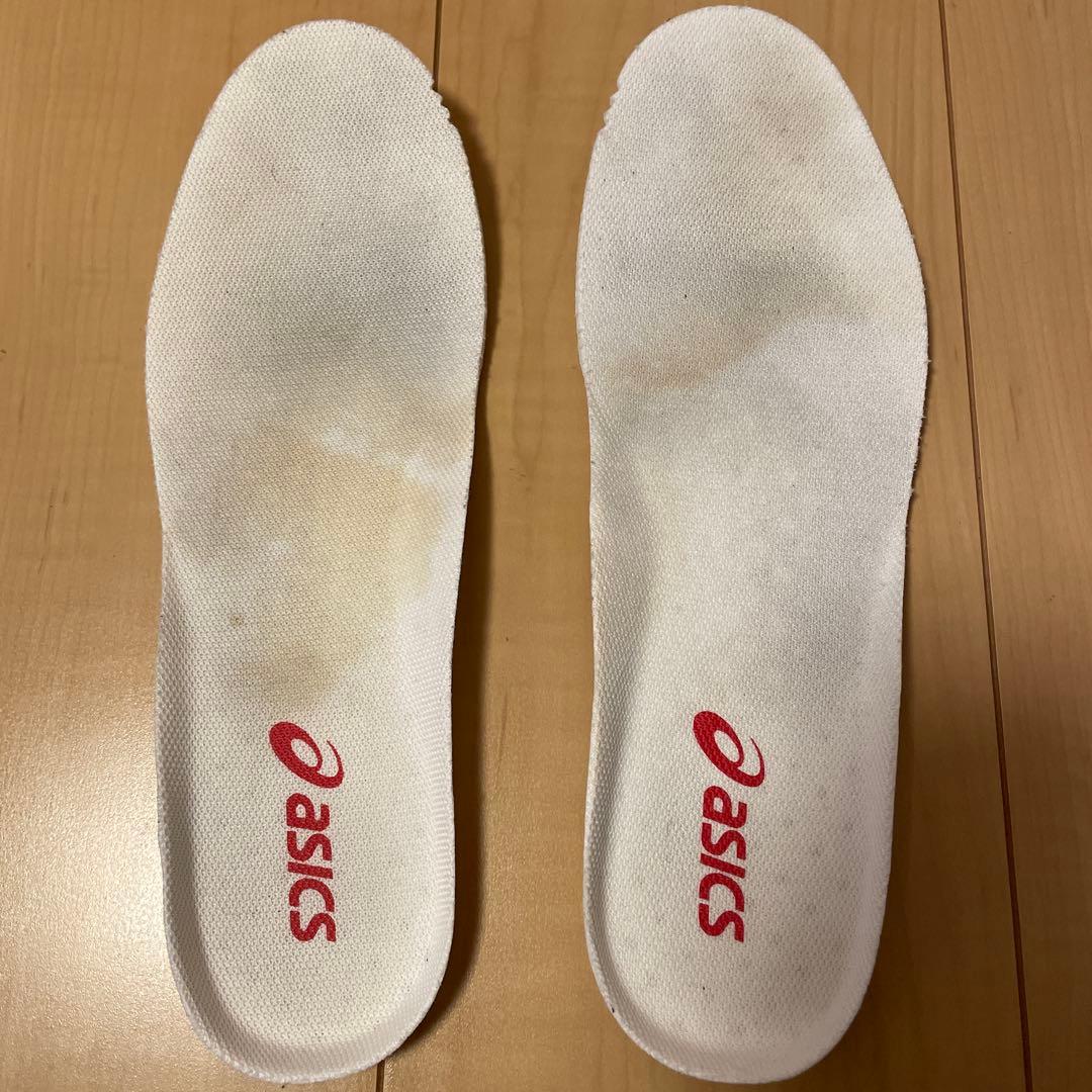 asics ターサージャパン　27.5cm