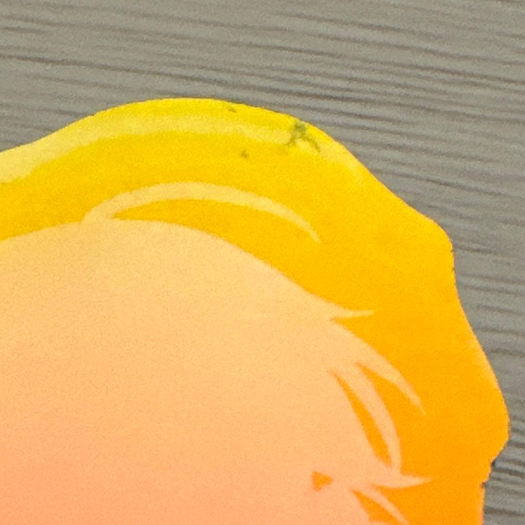 カラフルピーチ　うり　まとめ売り