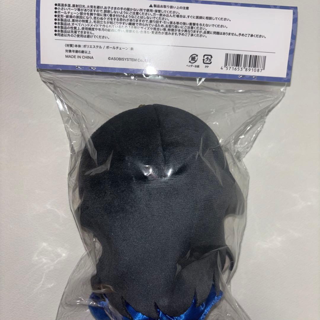 SWEETSTEADY すいすて 奥田彩友 メンバー別 ちびぬい かわぬい