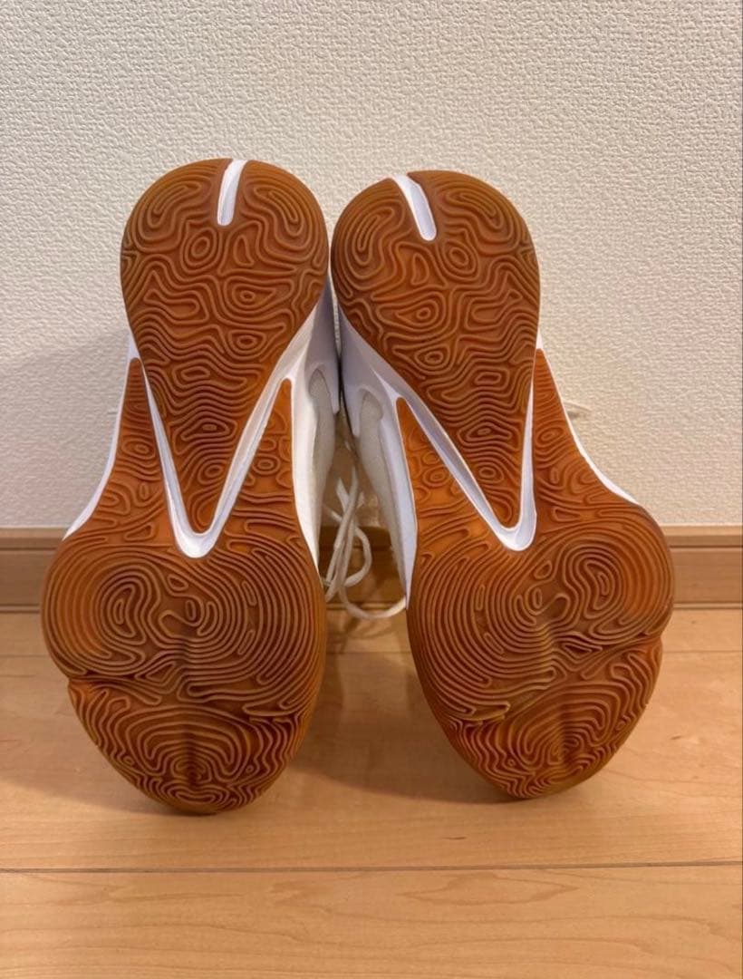 NIKE ズームフリーク3 ジョーダンluka1 2足セット