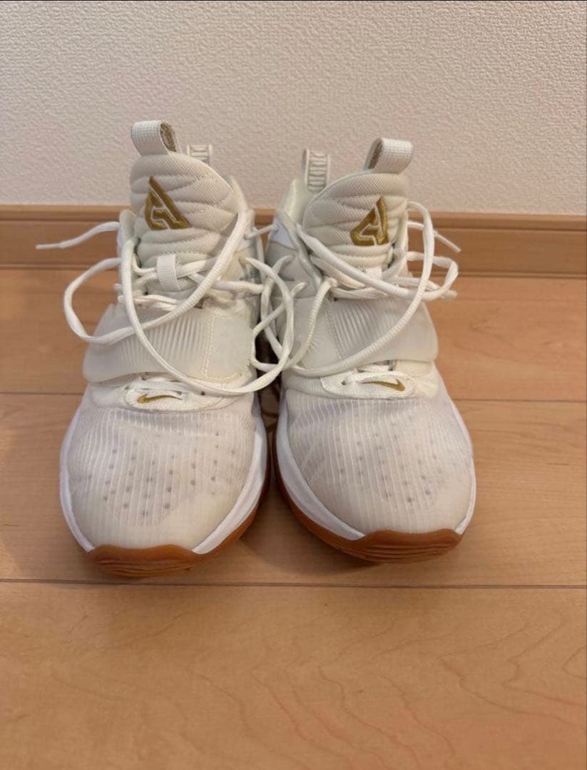 NIKE ズームフリーク3 ジョーダンluka1 2足セット