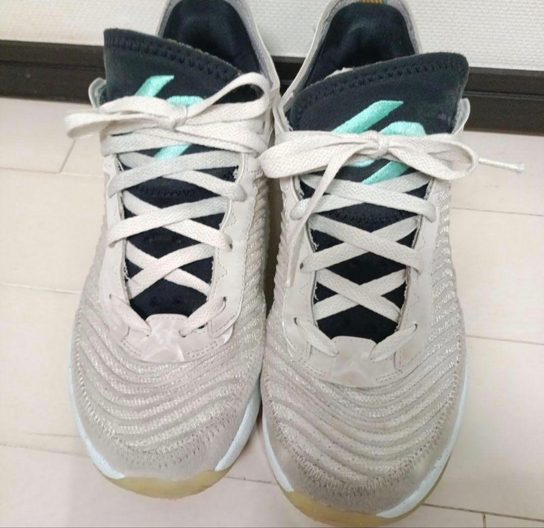 NIKE ズームフリーク3 ジョーダンluka1 2足セット
