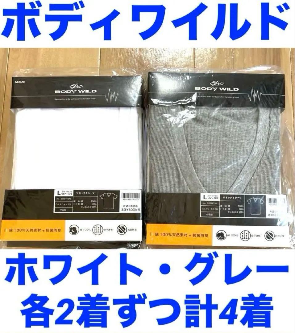 ミズノ　ベースボールシャツ　＋　グンゼ　ボディワイルド　付属特典付き
