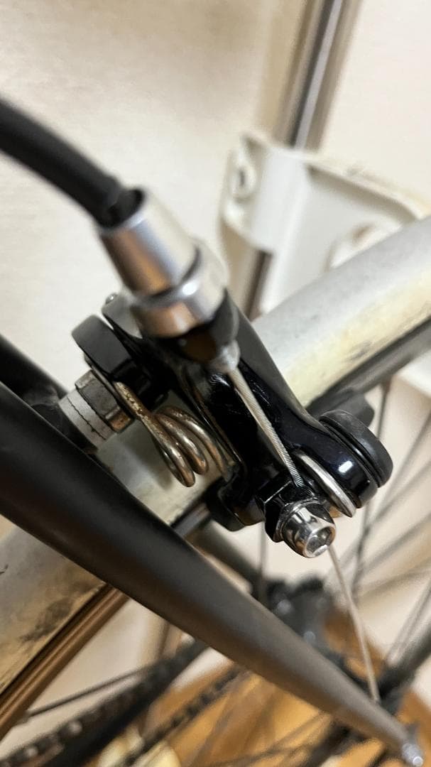 FUJI FEATHER（フジ フェザー）マットブラック　サイズ49cm ピスト