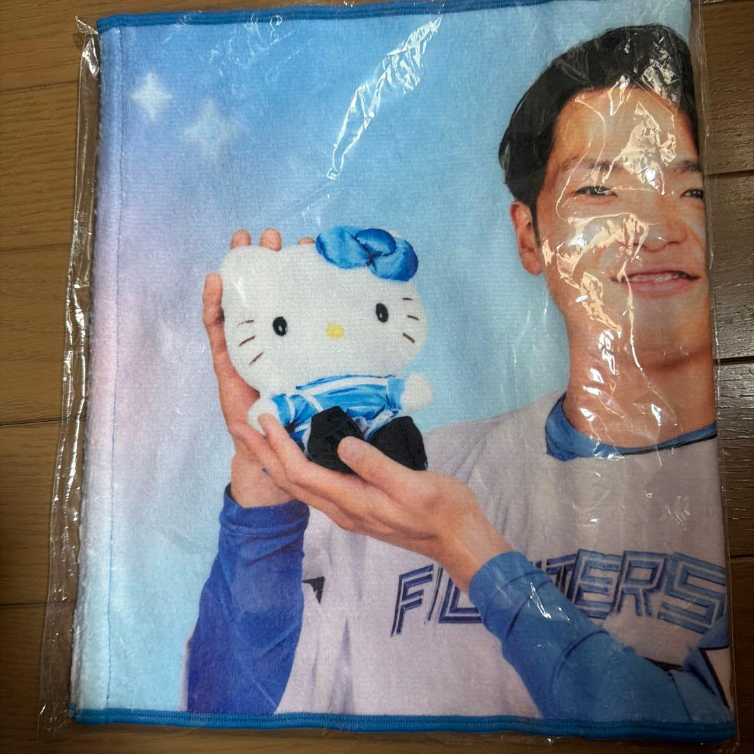 ファイターズ　郡司たくさんセット　追加アリ