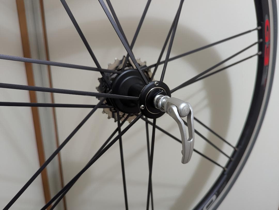 カンパニョーロ ユーラス【CAMPAGNOLO EURUS】G3 DPROリアホ