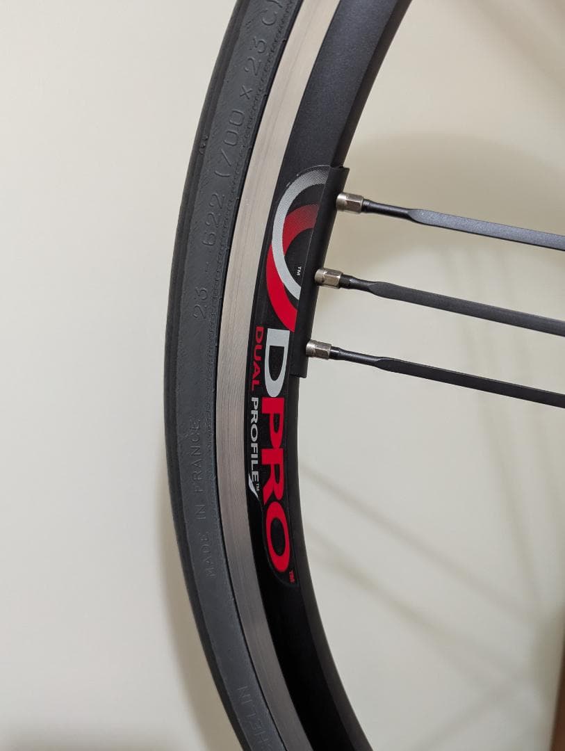 カンパニョーロ ユーラス【CAMPAGNOLO EURUS】G3 DPROリアホ