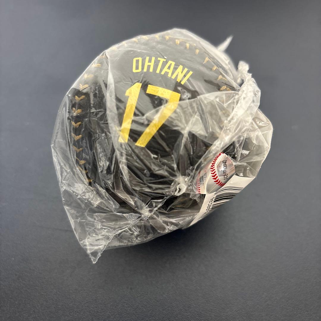 【正規品】 大谷翔平　記念ボール　2024年50/50 ブラックレザー
