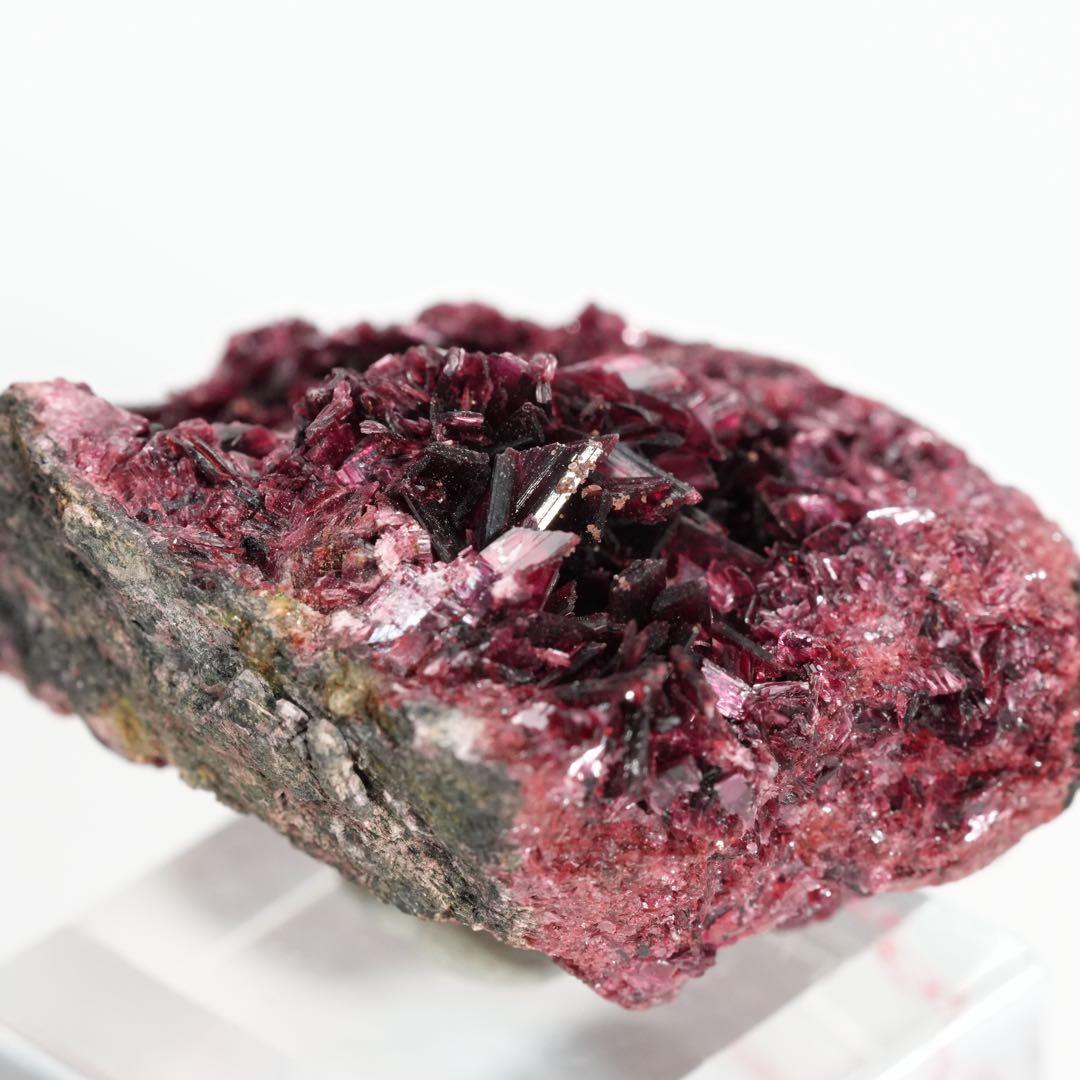 【魅惑のネオンピンクカラー】コバルト華 44×36×22mm