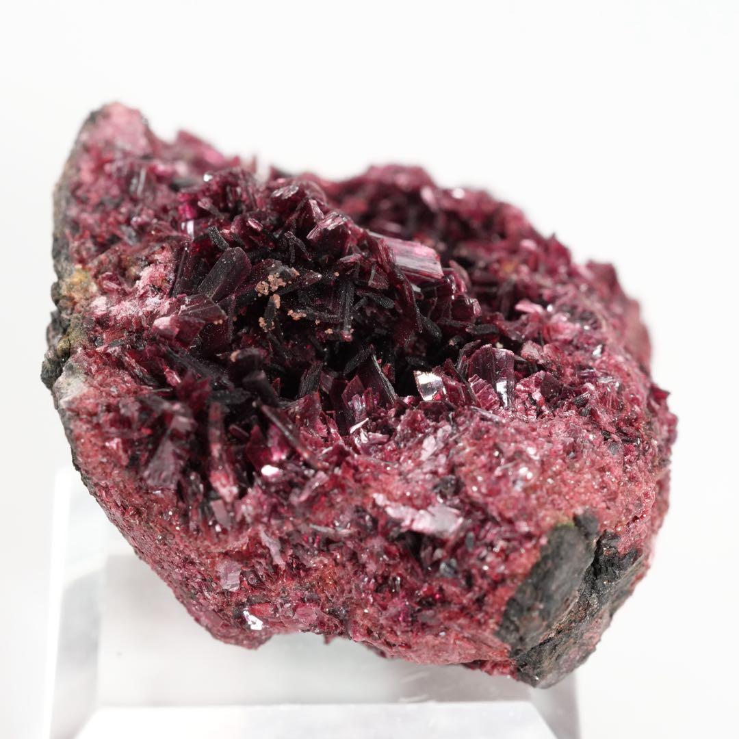 【魅惑のネオンピンクカラー】コバルト華 44×36×22mm