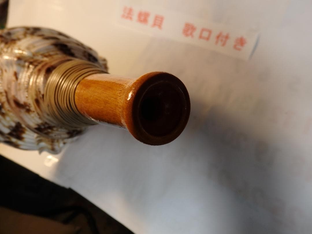 法螺貝 約39㎝ 木製歌口,新品 MH-474
