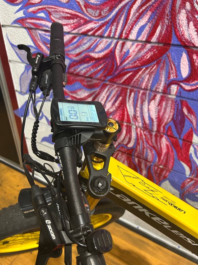 ランケレイシ　Lankeleisi 電動自転車26インチ