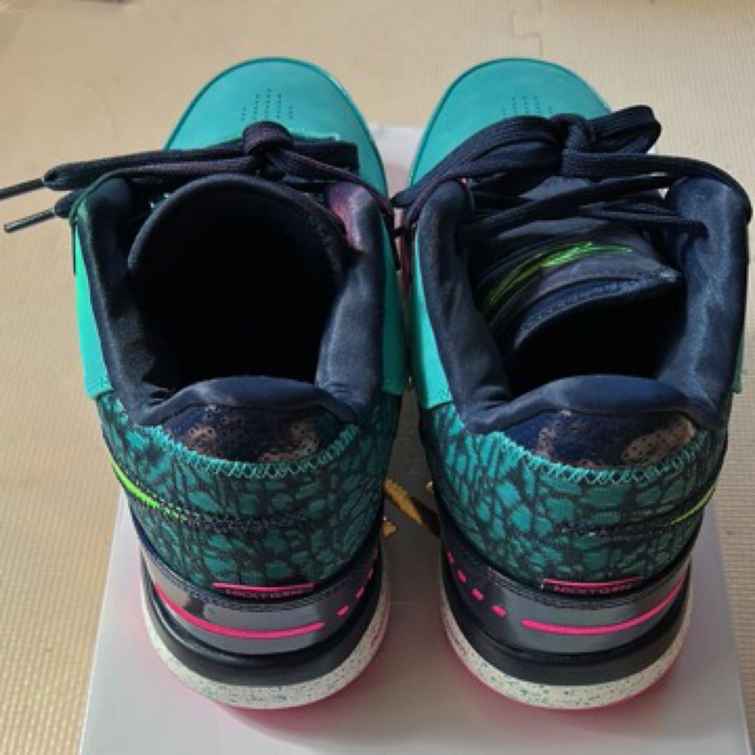 ZM LEBRON NXXT GEN AMPD EP レブロン US12