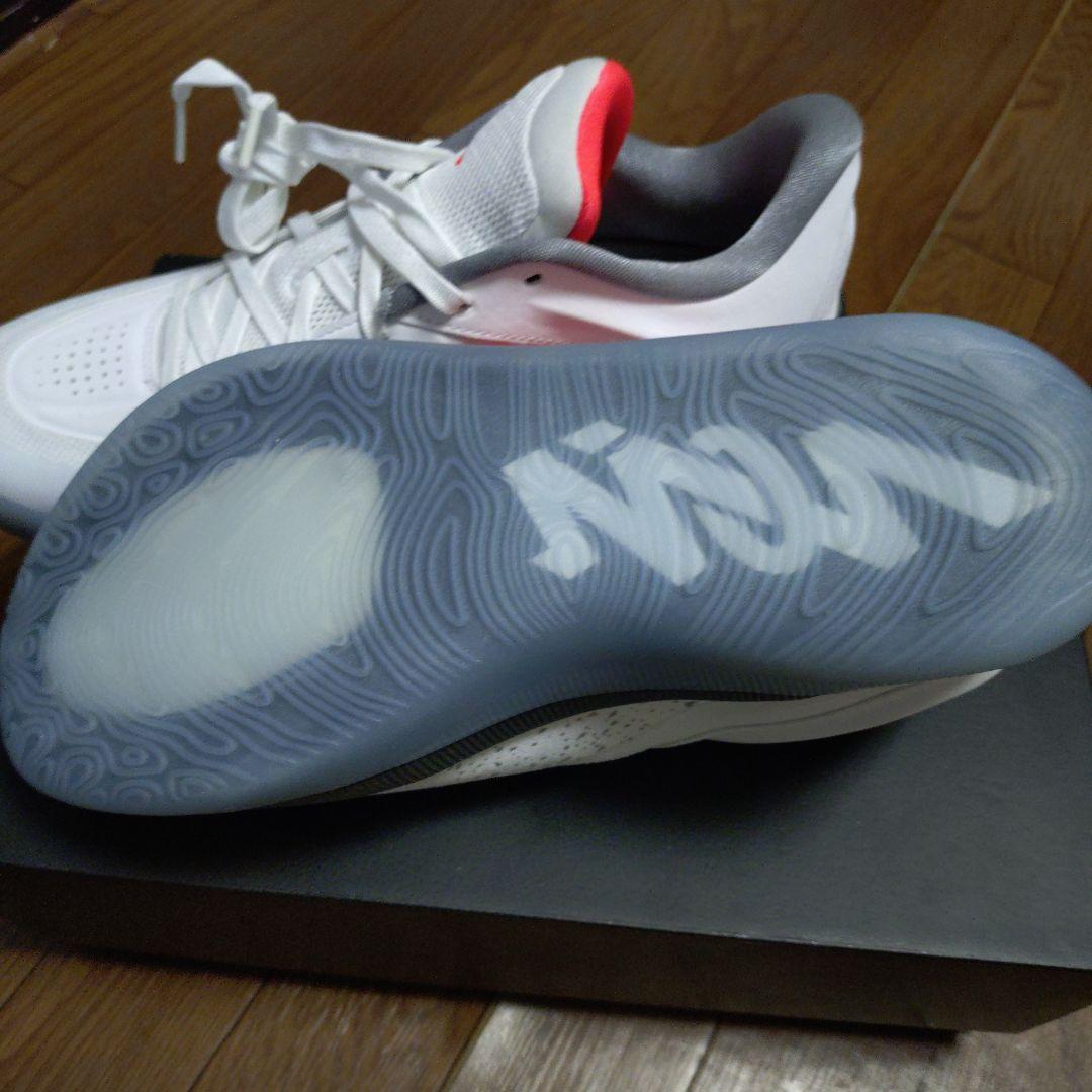 シューズ(男性用) NIKE JORDAN ZION 4