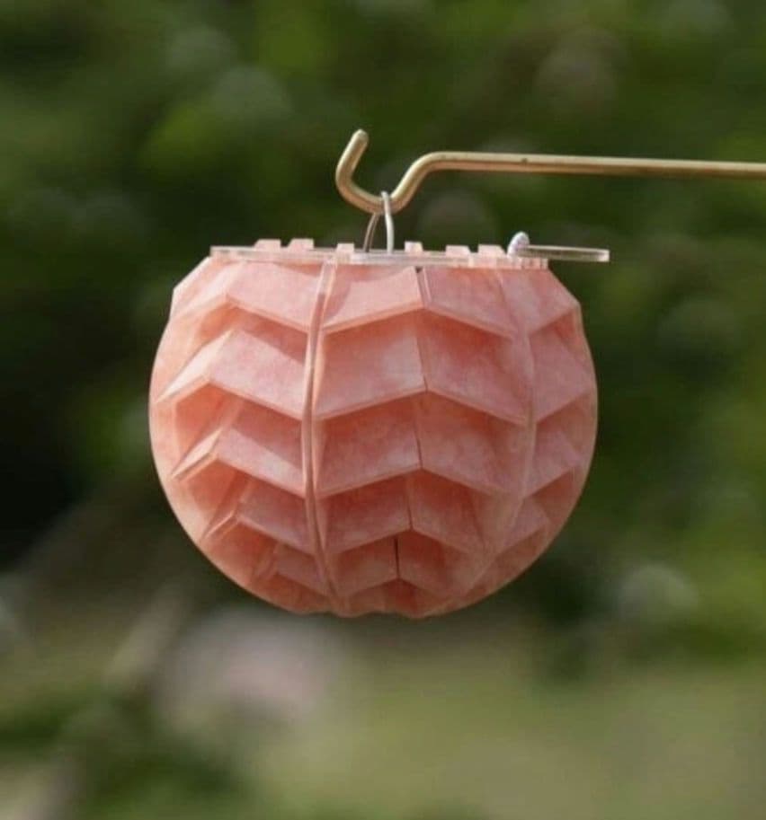 Belkroot BOTAN SAKURA サクラ