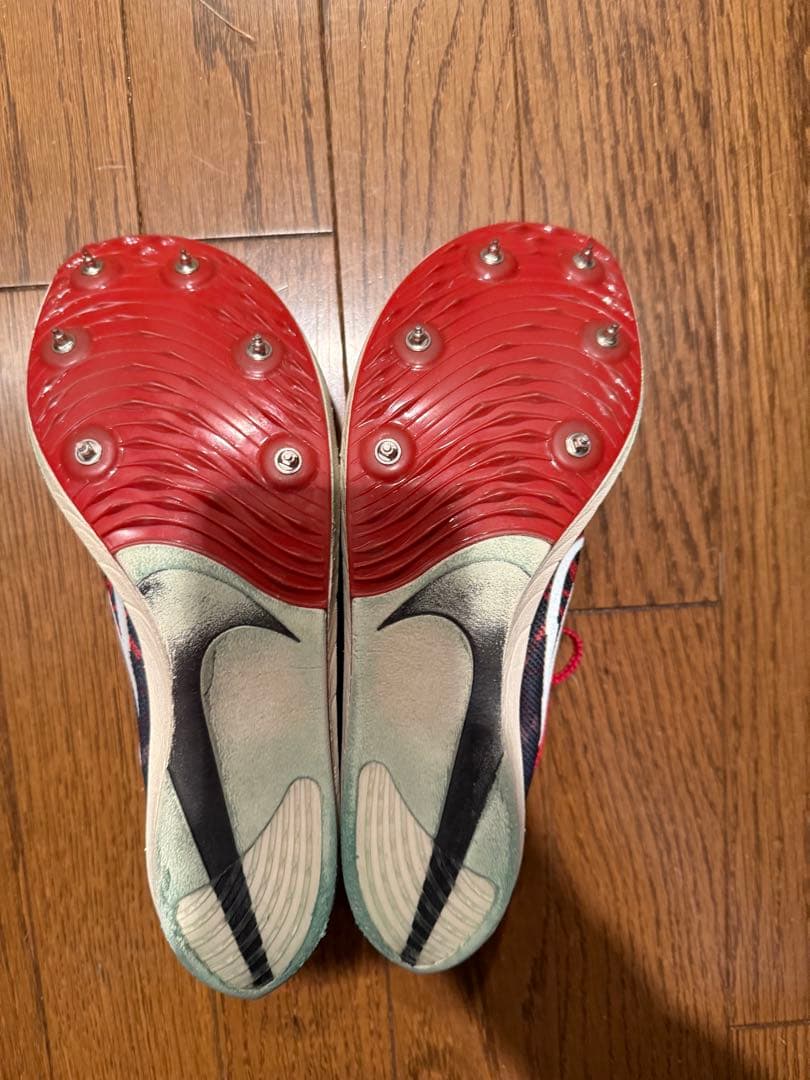 Nike ドラゴンフライ　25.5cm