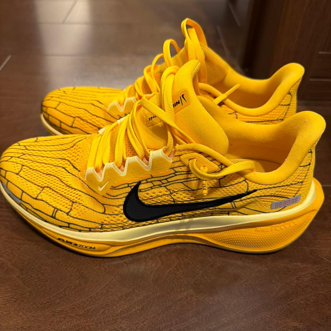 NIKE ペガサス41V8