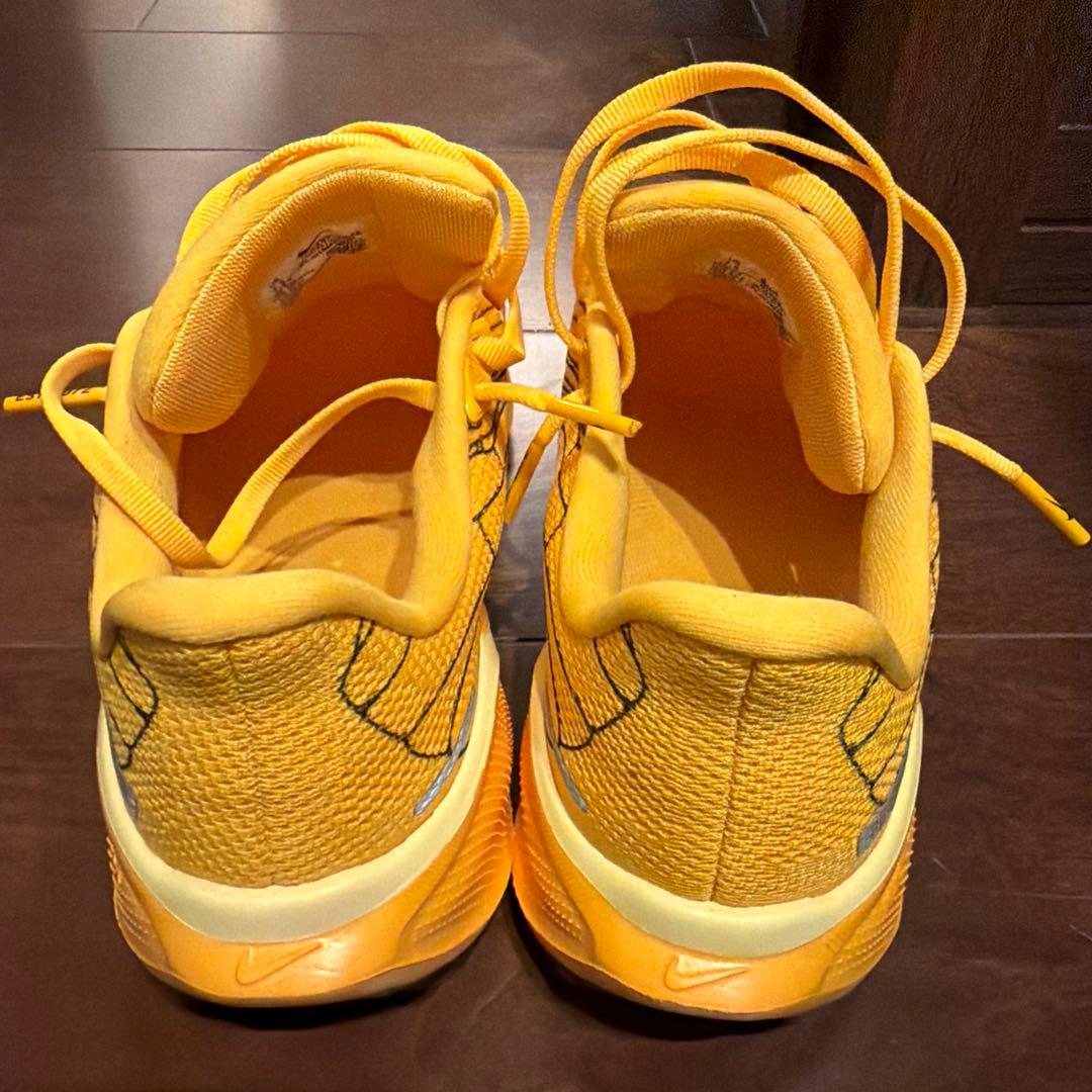 NIKE ペガサス41V8