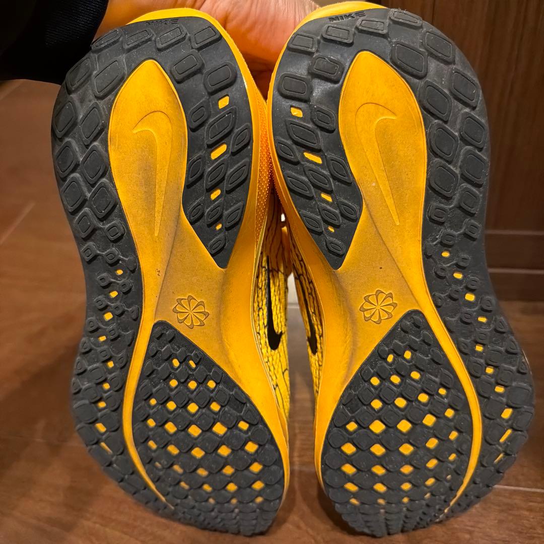 NIKE ペガサス41V8