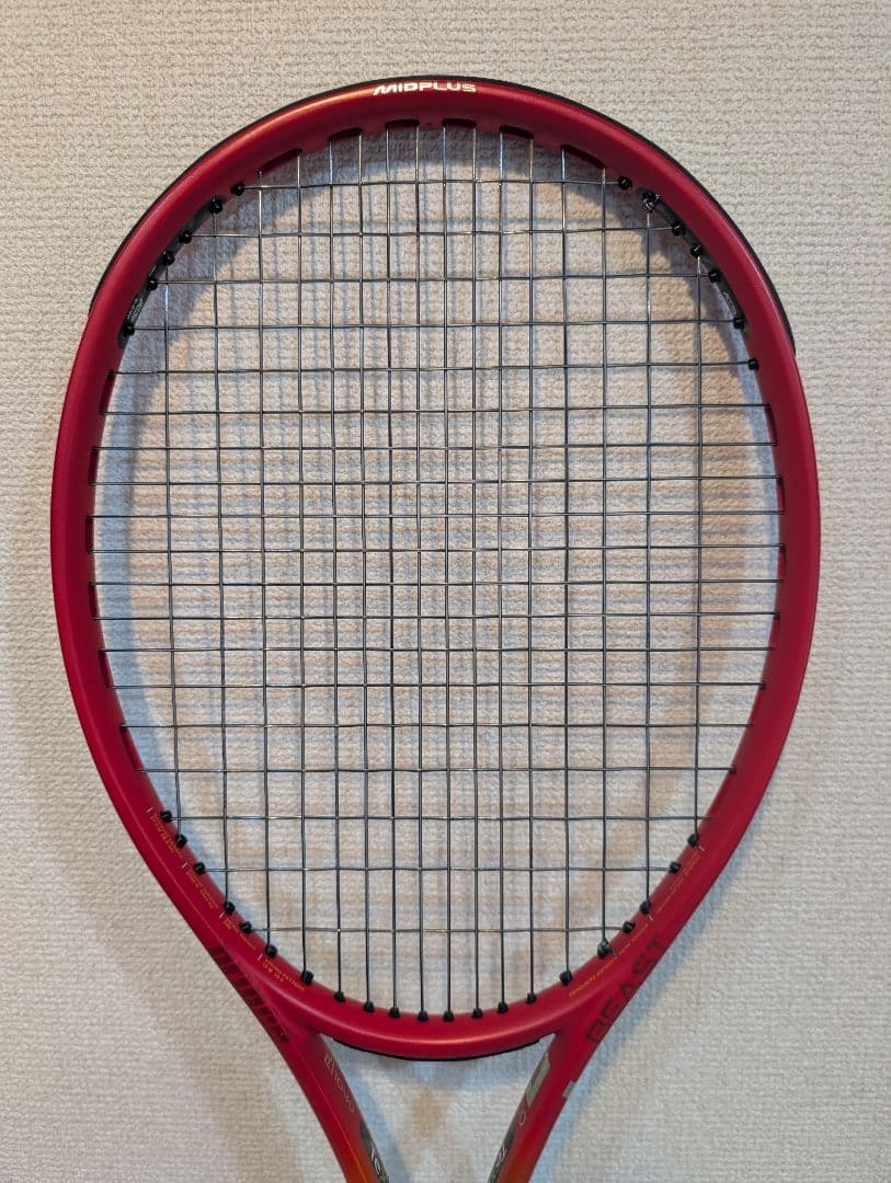 エイジ　プリンス ビースト O3 100 300g G2