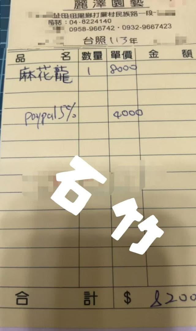 獣*様 アガベ チタノタ 麻花龍 極上強棘 特選美株 ブツブツ コレクシ Liz