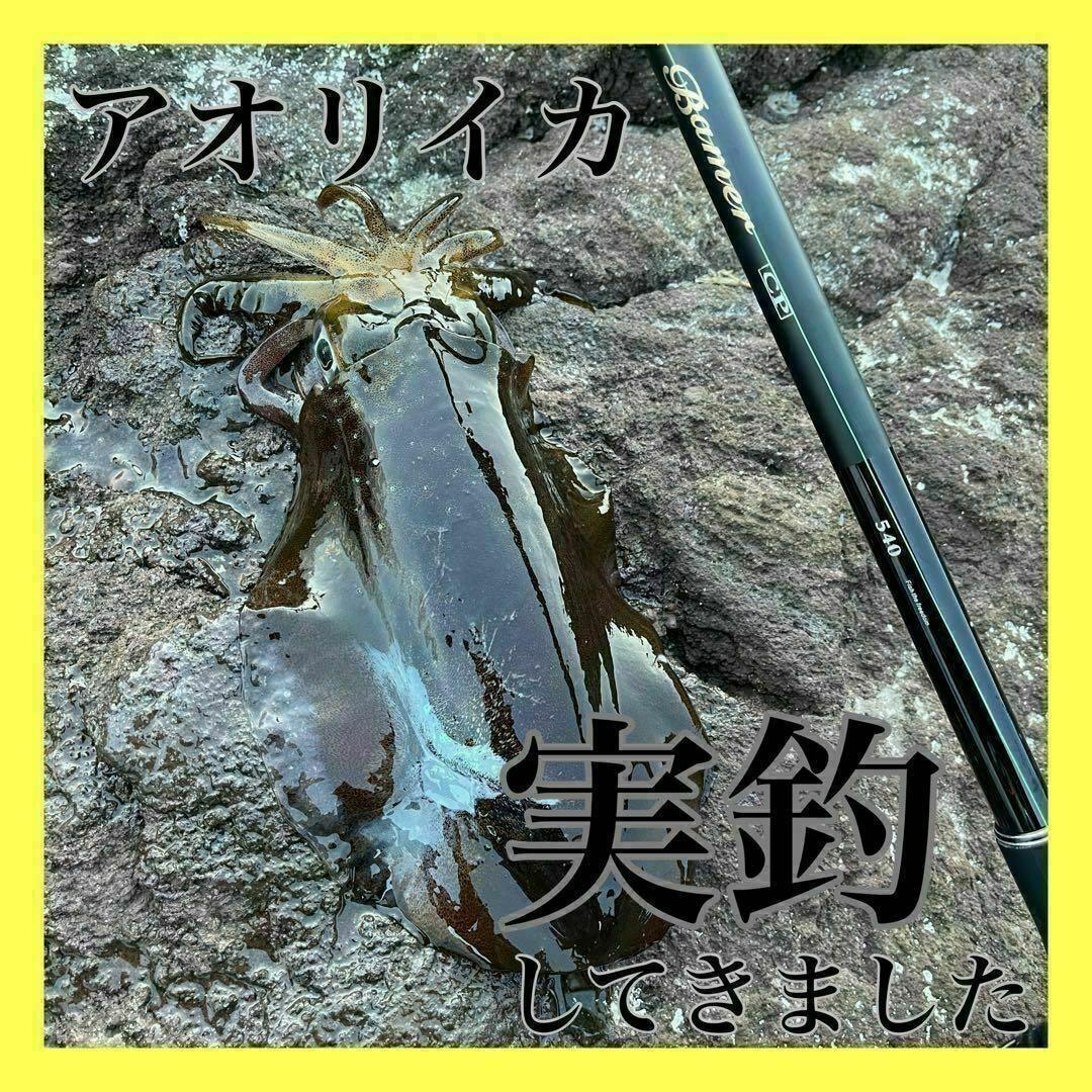 割引価格です