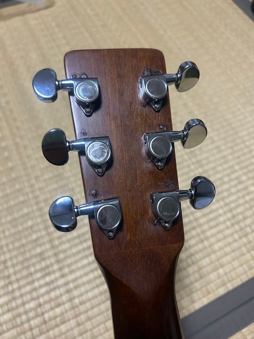 MORALES M250 縦ロゴハードケース付き　ジャンク扱い